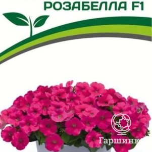 

Семена Петуния "Итальянка" Розабелла F1 розово-белая 5 шт. Партнер