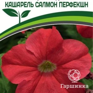 

Семена Петуния Кашарель Салмон Перфекшн F1 крупноцветковая компактная 10 шт. Партнер