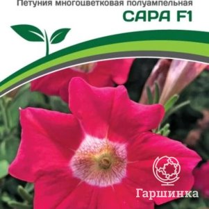 

Семена Петуния "Ма Шери" Сара F1 полуампельная розовая 5 шт. Партнер