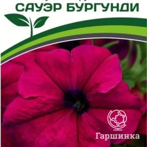 

Семена Петуния Сауэр Бургунди F1 крупноцветковая кустовая 10 шт. Партнер