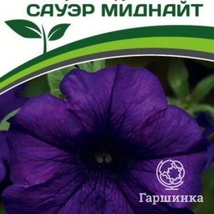 

Семена Петуния Сауэр Миднайт F1 крупноцветковая кустовая 10 шт. Партнер