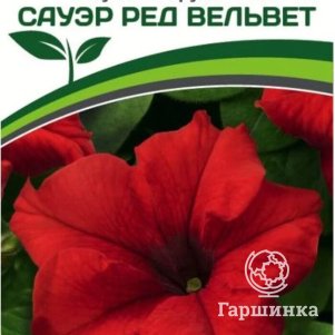 

Семена Петуния Сауэр Ред Вельвет F1 крупноцветковая кустовая 10 шт. Партнер