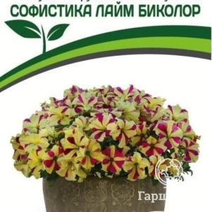 

Семена Петуния Софистика Лайм Биколор F1 крупноцветковая кустовая 5 шт. Партнер