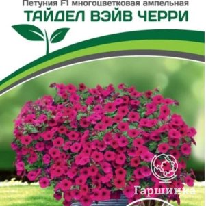 

Семена Петуния "Тайдел Вэйв" Черри F1 ампельная многоцветковая (снова в продаже) 5 шт. Партнер