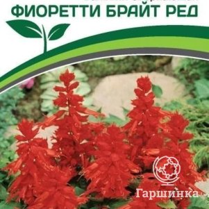 

Семена Сальвия сверкающая Фиоретти Брайт Ред 10 шт. Партнер
