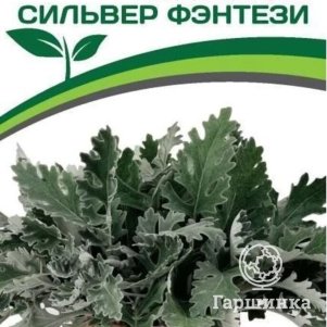 

Семена Цинерария приморская Сильвер Фэнтези 15 шт. Партнер