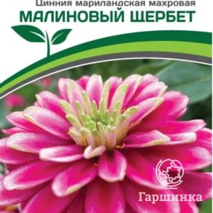 Семена Цинния махровая "Барышня-крестьянка" Малиновый Щербет 5 шт. Партнер