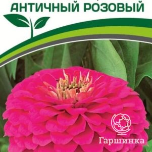 

Семена Цинния георгиновидная "Фэнтези" F1 Античный Розовый 4 шт. Партнер