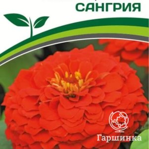 

Семена Цинния георгиновидная "Сочные тропики" F1 Сангрия 4 шт. Партнер