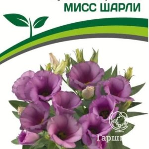 

Семена Эустома F1 карликовая лиловая Мисс Шарли 5 шт. Партнер