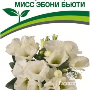 

Семена Эустома F1 карликовая айвори Мисс Эбони Бьютти 5 шт. Партнер