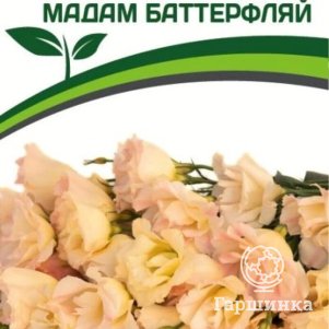 

Семена Эустома F1 срезочная махровая шампань Мадам Баттерфляй 5 шт. Партнер