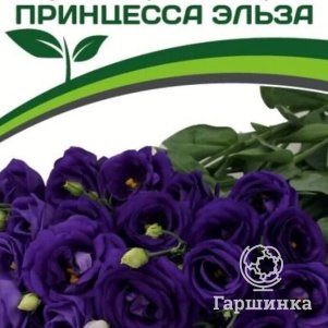 

Семена Эустома F1 срезочная махровая сиреневая Принцесса Эльза 5 шт. Партнер