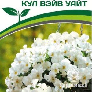 

Семена Виола ампельная Кул Вэйв Уайт F1 5 шт. Партнер