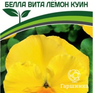 

Семена Виола виттрока крупноцветковая "Белла Вита" Лемон Куин F1 5 шт. Партнер