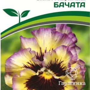 

Семена Виола бахромчатая "Танго-Манго" Бачата F1 5 шт. Партнер