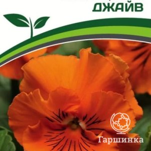 

Семена Виола бахромчатая "Танго-Манго" Джайв F1 5 шт. Партнер