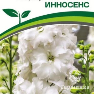 

Семена Дельфиниум новозеландский Инносенс F1 (снова в продаже) 3 шт. Партнер