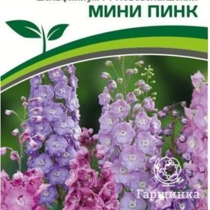 

Семена Дельфиниум новозеландский Мини Пинк F1 3 шт. Партнер