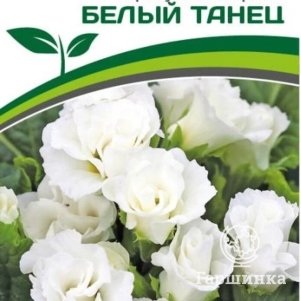 Семена Примула F1 махровая "Тет-А-Тет" Белый Танец 5 шт. Партнер