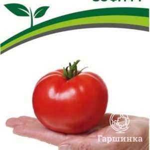 

Семена Томат Софа F1 0,05 гр. Партнер