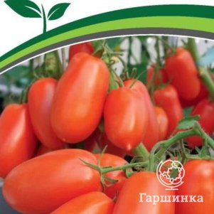 

Семена Томат Жара F1 10 шт. Партнер