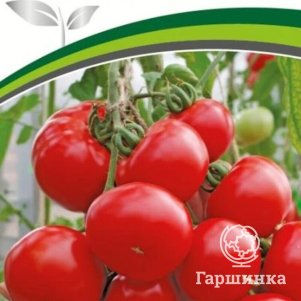 

Семена Томат Мирандалина F1 (снова в продаже) 5 шт. Партнер