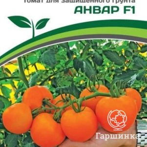 

Семена Томат Анвар F1 5 шт. Партнер