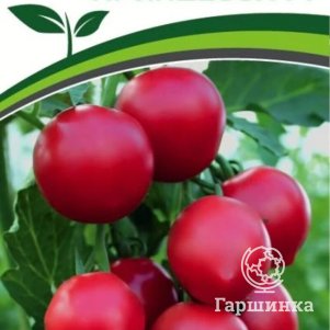 

Семена Томат Принцесса F1 10 шт. Партнер