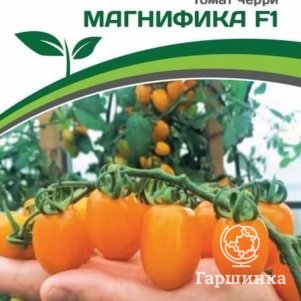 

Семена Томат Черри Магнифика F1 10 шт. Партнер