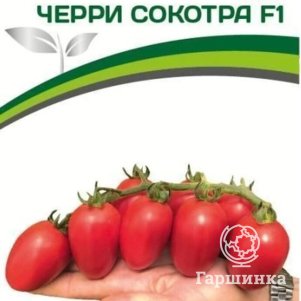 

Семена Томат Черри Сокотра F1 5 шт. Партнер