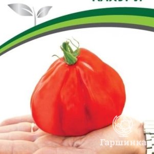 

Семена Томат Кахури 0,05гр. Партнер