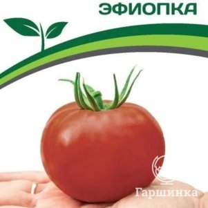 

Семена Томат Эфиопка 10 шт. Партнер