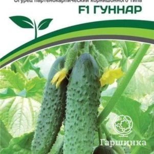 

Семена Огурец партенокарпический Гуннар F1 5 шт. Партнер