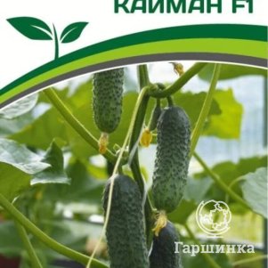 

Семена Огурец партенокарпический Кайман F1 10 шт. Партнер