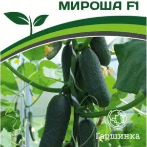 

Семена Огурец партенокарпический Мироша F1 10 шт. Партнер