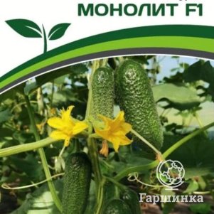 

Семена Огурец партенокарпический Монолит F1 5 шт. Партнер