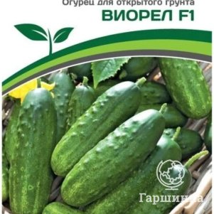 

Семена Огурец пчелоопыляемый Виорел F1 0,5 гр. Партнер