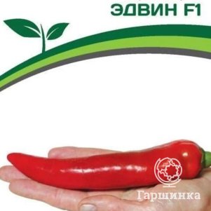 

Семена Перец острый Эдвин F1 5 шт. Партнер