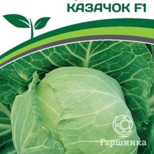 

Семена Капуста белокочанная раннеспелая Казачок F1 0,3 гр. Партнер