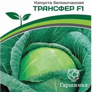 

Семена Капуста белокочанная раннеспелая Трансфер F1 0,2 гр. Партнер