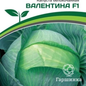 Семена Капуста белокочанная позднеспелая Валентина F1 0,2 гр. Партнер