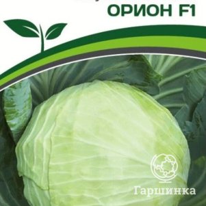 

Семена Капуста белокочанная позднеспелая Орион F1 0,2 гр. Партнер