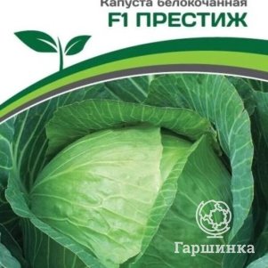 

Семена Капуста белокочанная позднеспелая Престиж F1 0,2 гр. Партнер
