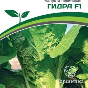 

Семена Капуста пекинская Гидра F1 0,5 гр. Партнер