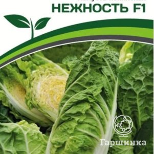 

Семена Капуста пекинская Нежность F1 0,5 гр. Партнер
