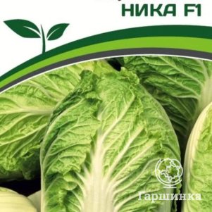 

Семена Капуста пекинская Ника F1 0,5 гр. Партнер