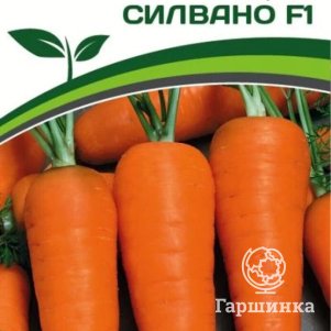 

Семена Морковь Силвано F1 0,5 гр. Партнер