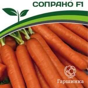 

Семена Морковь Сопрано F1 0,5 гр. Партнер