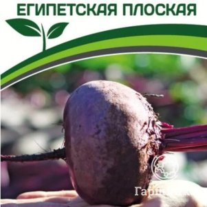 

Семена Свекла Египетская Плоская 3 гр. Партнер